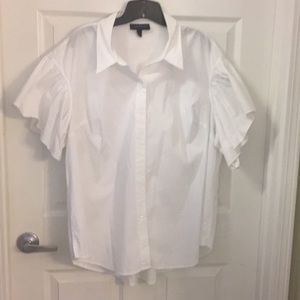 (EUC) Size 22 Crisp White Top with Ruffle Sleeves